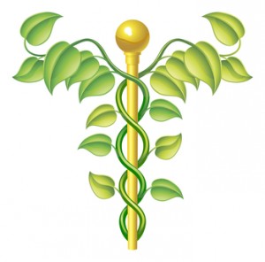 holistic natural or alternative medicine symbol